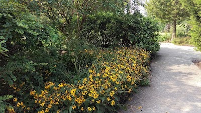 My Big Backyard at Memphis Botanic Garden