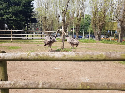 Birmingham Wildlife Conservation Park, Author: Majed Sultan Al-Shuwaiee