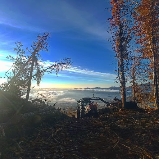 LAGO MAGGIORE LEGNAMI - Vendita Legname e Servizi Forestali - Thumbnail