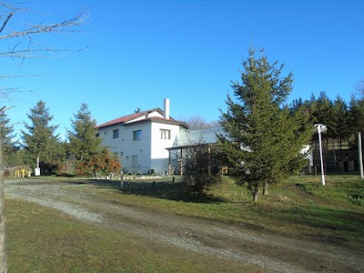 Photos of Hostel Camping La Colina