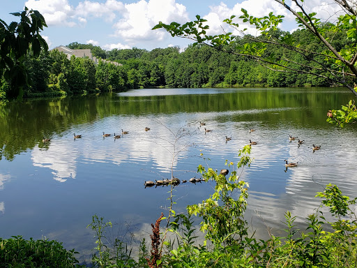 Kingstowne Lake Gallery - United States