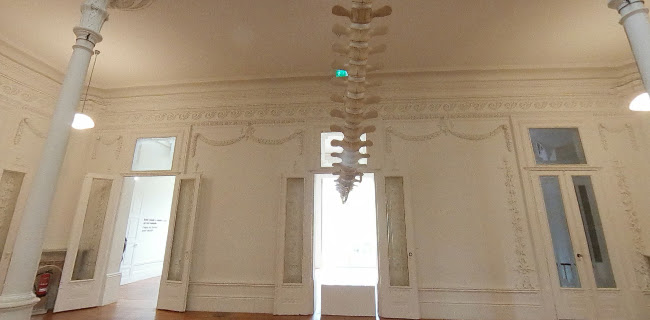Jardim Botânico do Porto | Museu de História Natural e da Ciência da U.Porto - Porto