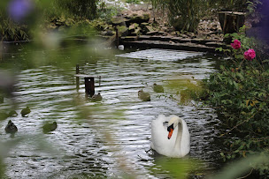 Photo n°3 de la bulle normande à Fresnoy-Folny (Chambre d'hôtes)