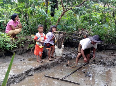 Photos of Kertaharja Farm