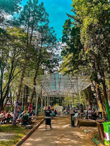 Uzina Foto - Fotograf