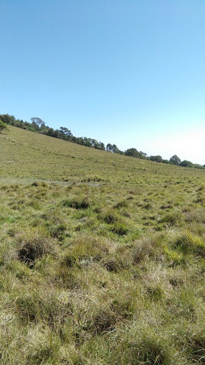 Photos of Marania Farm