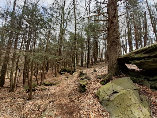 Meadowsweet Preserve - Thumbnail