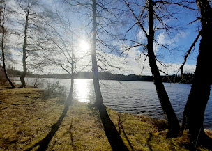 Photo n°9 de La maison des sapins à Devesset (Association culturelle)