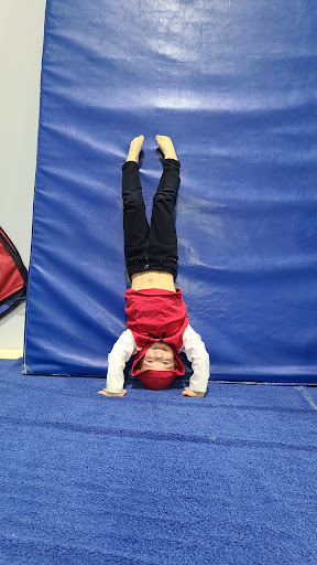 Wilson School-Gymnastics-Dance - Thumbnail