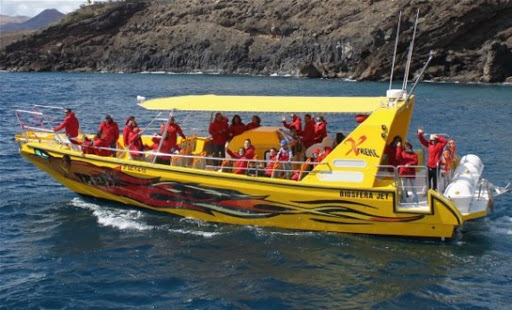 Dolphin tours Lanzarote - Thumbnail