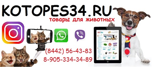 Интернет Магазин Котопес Саратов