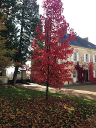 Photo n°45 de Les Couleurs du Verger à Beaumont-les-Autels (Spa)