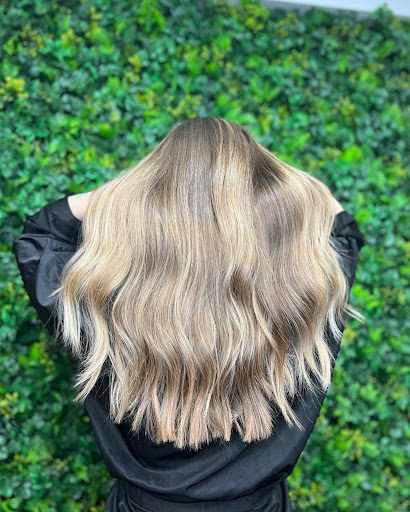 SJ House of Hair Gallery - United States