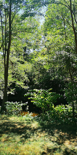 Bord du lignon - Thumbnail