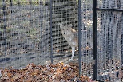 Trailside Museum of Natural History