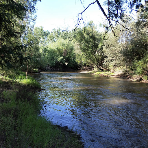 Nariel Creek Recreation Reserve Gallery - Australia