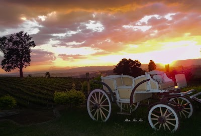 Photos of Aye Thar Yar (Wine Garden)