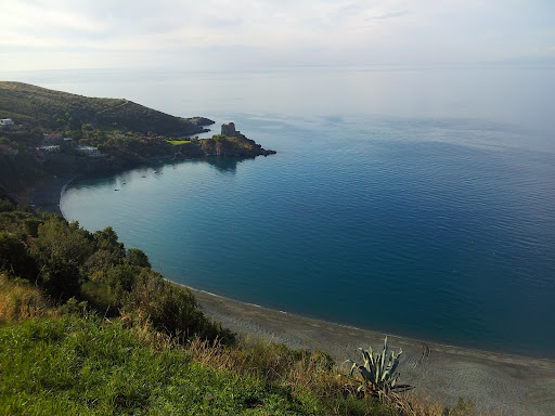 RENOVA COSTRUZIONI E IMMOBILIARE