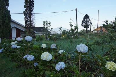 Photos of Villa Jardin