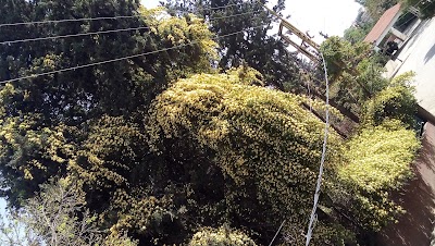Photos of حي الصلح