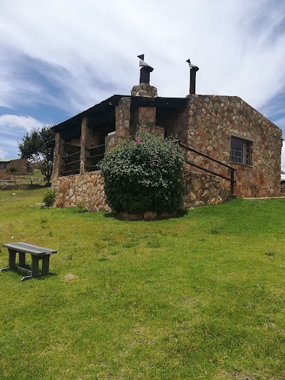 Photos of Treeferns Trout Lodge
