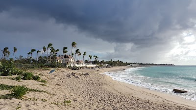 Photos of Trump Le Chateau des Palmiers