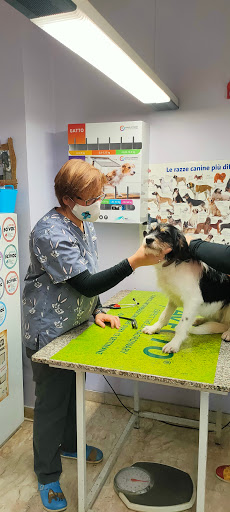 Ambulatorio Veterinario Dr.ssa Colananni - Thumbnail