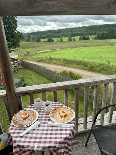 Gobiten - Visual