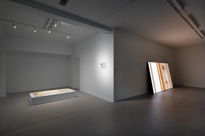 Brigade Gallery by null