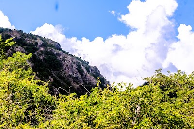 Photos of Sugar Loaf Hill