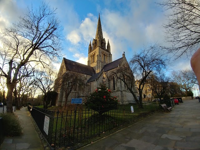Pines and Needles - Notting Hill