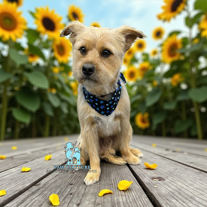 Paw Couture Pet Grooming & Boutique