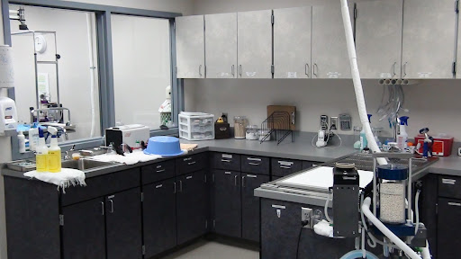 Oregon Humane Society Spay & Neuter Clinic - Thumbnail