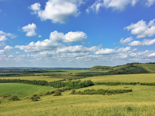 CHILTERNS NATURE - PITSTONE HILL NATURE RESERVE Logo