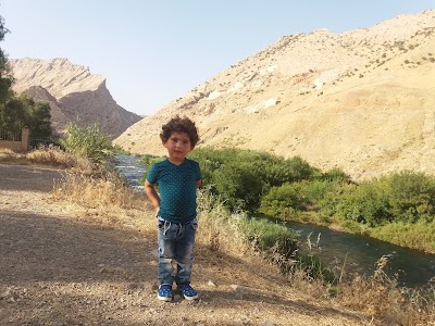 Photos of Darband Palace Hotel