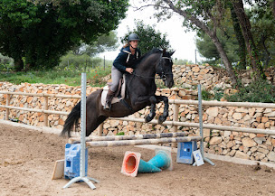 Photo n°15 de Les crins d'AR à Sanary-sur-Mer (Centre équestre)