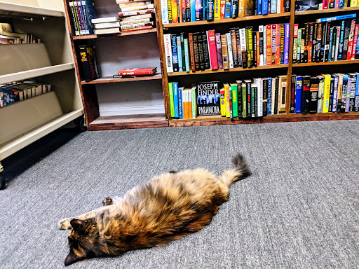 The Bookshop in Lakewood - Thumbnail