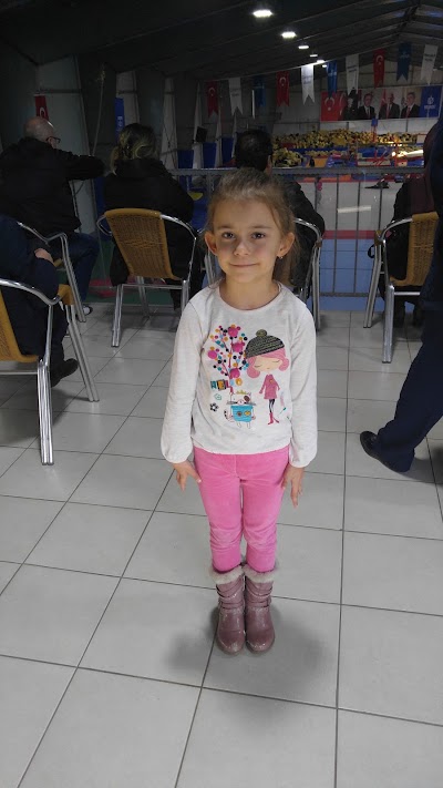 Photos of Vinsan Cimnastik Salonu Kocaeli