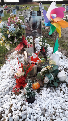 Cimitero Per Animali Di Bellaria