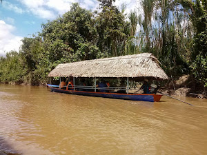 Tours Moyobamba City 3