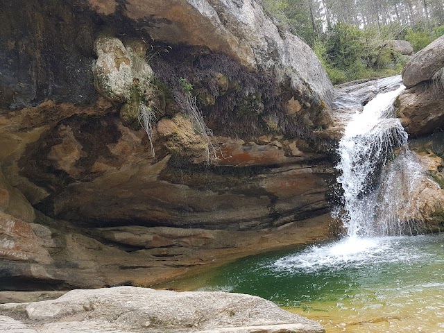 7 Gorgs, Campdevánol
