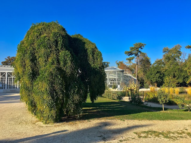 Serres du chateau du Prieuré