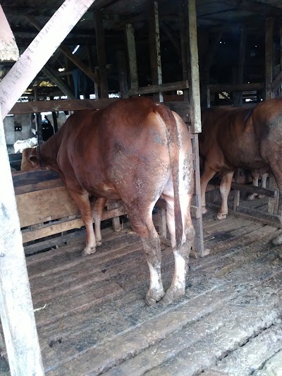 Photos of Lapangan Balingbing