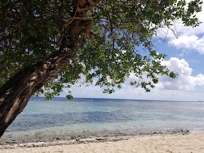 photo of One Shoe Beach Bar & Grill