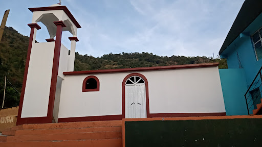 Platanillo - Visual
