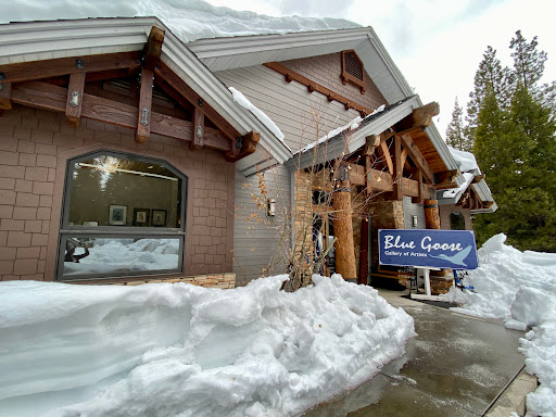 Blue Goose Gallery of Artists - Thumbnail