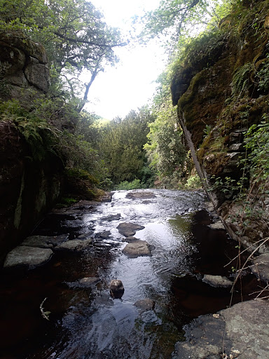 Mularza Noa - Visual