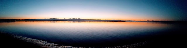 Tahunanui Beach
