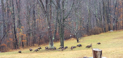 Turkey Valley RV Park - Thumbnail