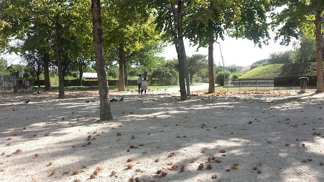 stade Louis Dolly